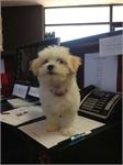 daycare pic 71 - rosie front office